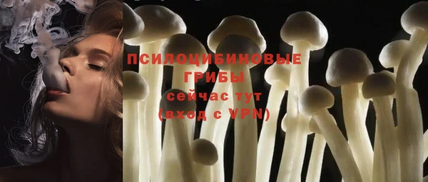 а пвп мука Армянск