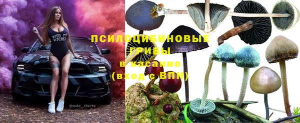 mdpv Арсеньев