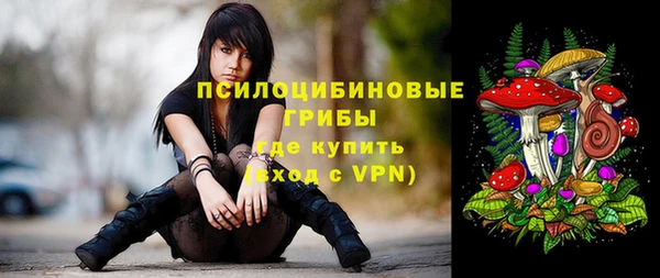 героин Новодвинск