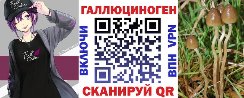 Псилоцибиновые грибы GOLDEN TEACHER  кракен вход  Бакал 