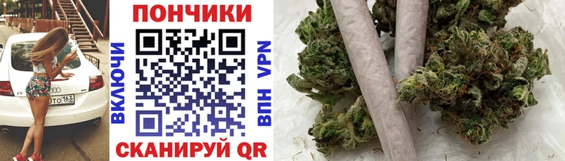 что такое наркотик  Бакал  МАРИХУАНА ГИДРОПОН 